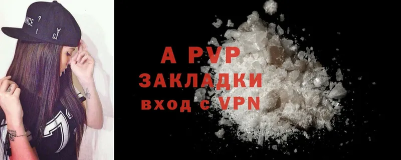 A PVP СК  закладка  Бородино 